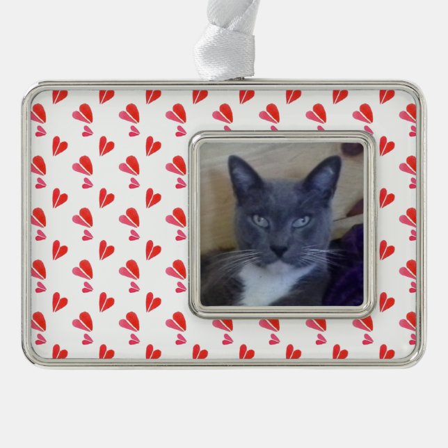 PET LOVE Framed Horizontal Ornament / Hearts (Front)