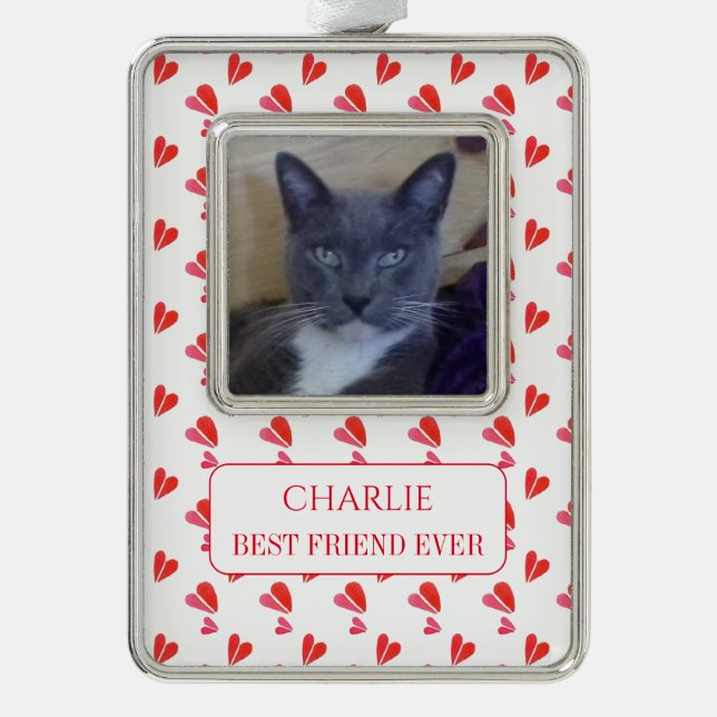 PET LOVE Framed Vert Ornament + Text / Hearts (Front)