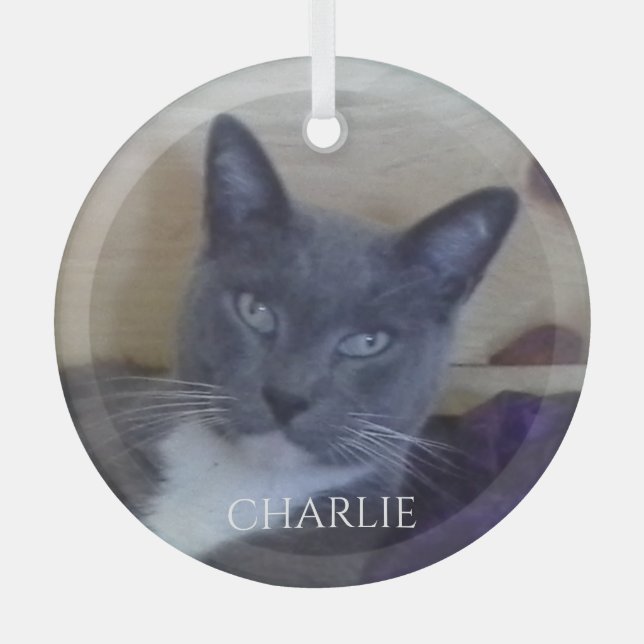PET LOVE Glass Circle Ornament (Front)
