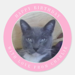 PET LOVE Large Round Birthday Stickers / Pink