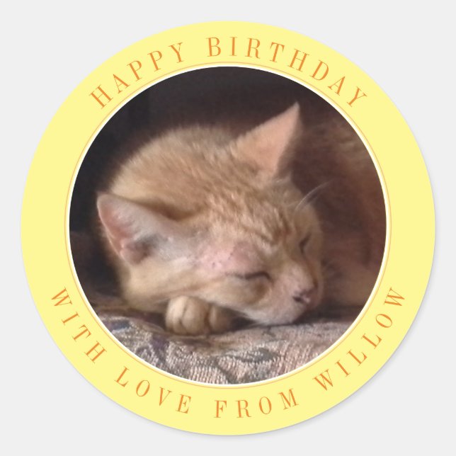 PET LOVE Large Round Birthday Stickers / Yellow (Front)
