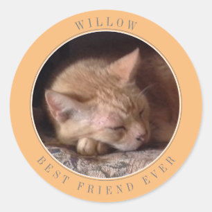PET LOVE Large Round Envelope Seals / Peach