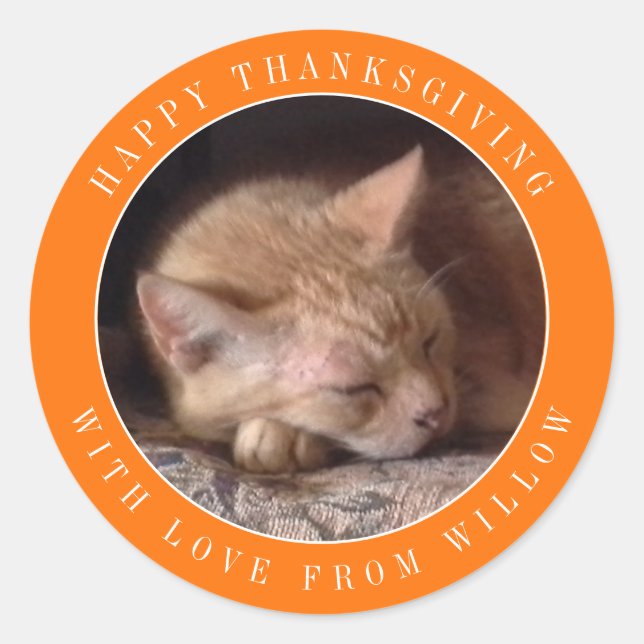 PET LOVE Large Round Thanksgiving Sticker / Orange (Front)