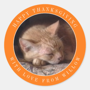 PET LOVE Large Round Thanksgiving Sticker / Orange