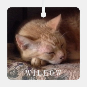 PET LOVE Metal Square Ornament 