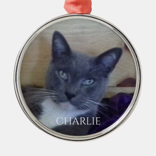 PET LOVE Premium Round Ornament (Front)