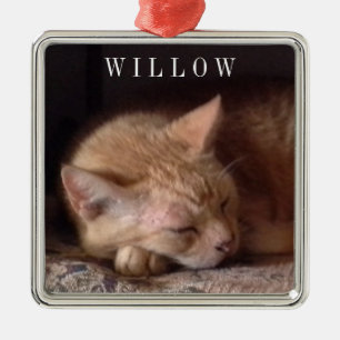 PET LOVE Premium Square Ornament