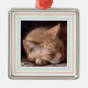 PET LOVE Premium Square Ornament / Rainbow