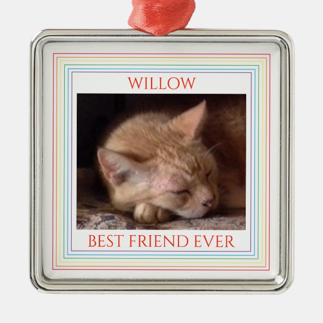 PET LOVE Premium Square Ornament + Text / Rainbow (Front)