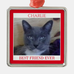 PET LOVE Premium Square Ornament + Text / Red