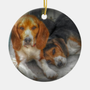 Pet Lover Christmas Ornament