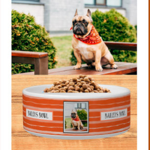 Pet Lovers Orange Stripes Photo Name     Bowl