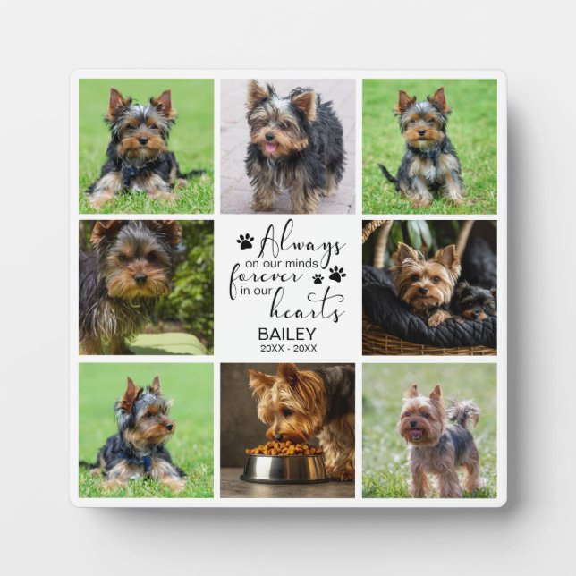 Pet Memoriabl Always on Minds Photo Plaque (Front)