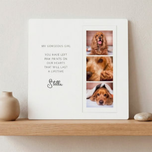 Pet Memorial 3 Photo Collage Remembrance Quote Plaque