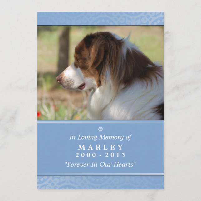 Pet Memorial 5x7 Light Blue Contented Poem Program (Front)