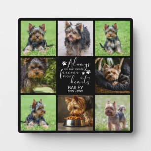 Pet Memorial Always on Minds Photo Plaque