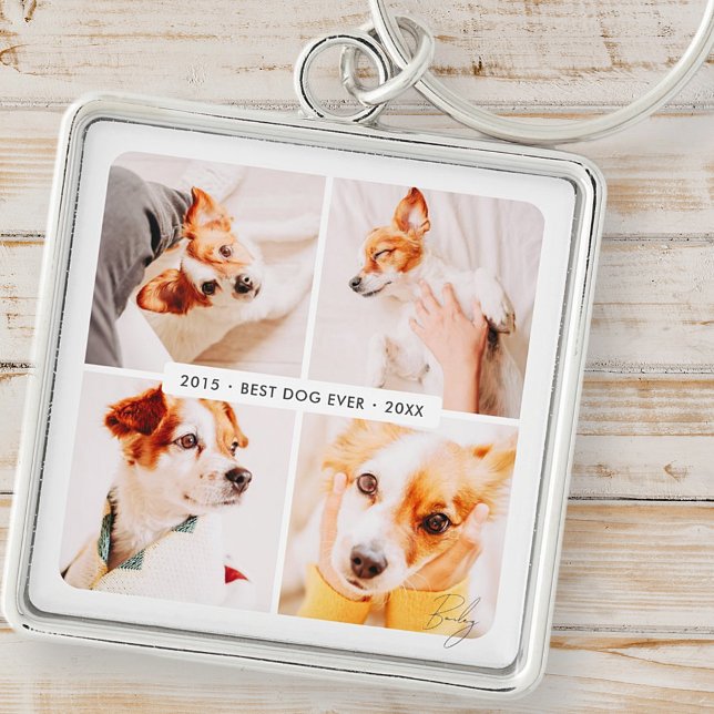 Pet Memorial Best Dog Ever Modern Photo Collage Key Ring (Creator Uploaded)
