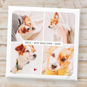 Pet Memorial Best Dog Ever Modern Photo Collage Magnet