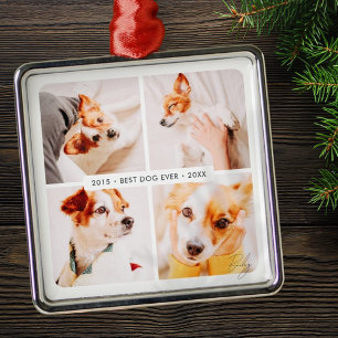 Pet Memorial Best Dog Ever Modern Photo Collage Metal Ornament
