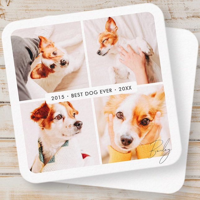 Pet Memorial Best Dog Ever Modern Photo Collage Square Business Card (Creator Uploaded)