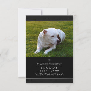 Pet Memorial Card 3.5"x5" Black Modern Photo