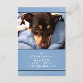 Pet Memorial Card 3.5 x 5 Blue - Don't Grieve Poem