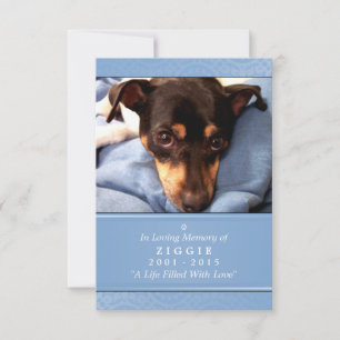 Pet Memorial Card 3.5" x 5" - Light Blue Photo