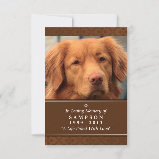 Pet Memorial Card 3.5" x 5" - Medium Brown Photo (Front)
