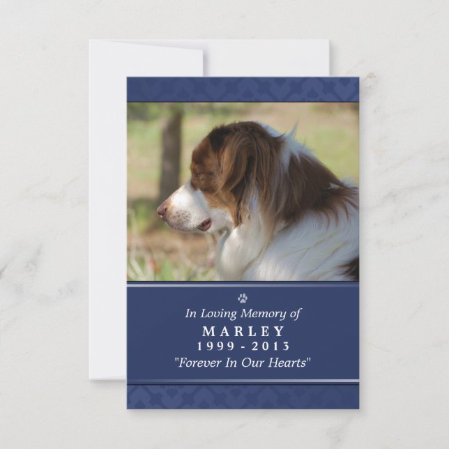 Pet Memorial Card 3.5" x 5" - Navy Blue Photo (Front)