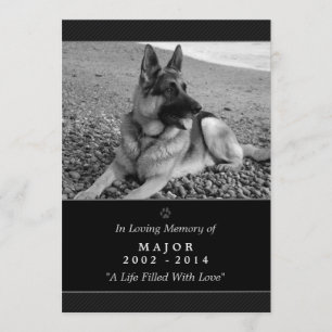 Pet Memorial Card 5"x7" Black - God Saw You Poem