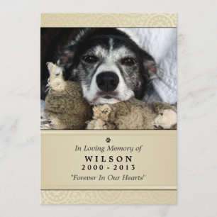 Pet Memorial Card 5"x7" Creme Modern Photo