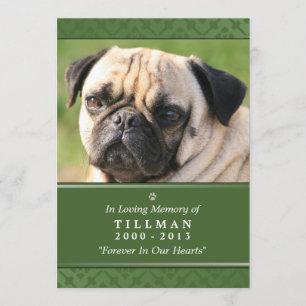 Pet Memorial Card 5"x7" Green Photo