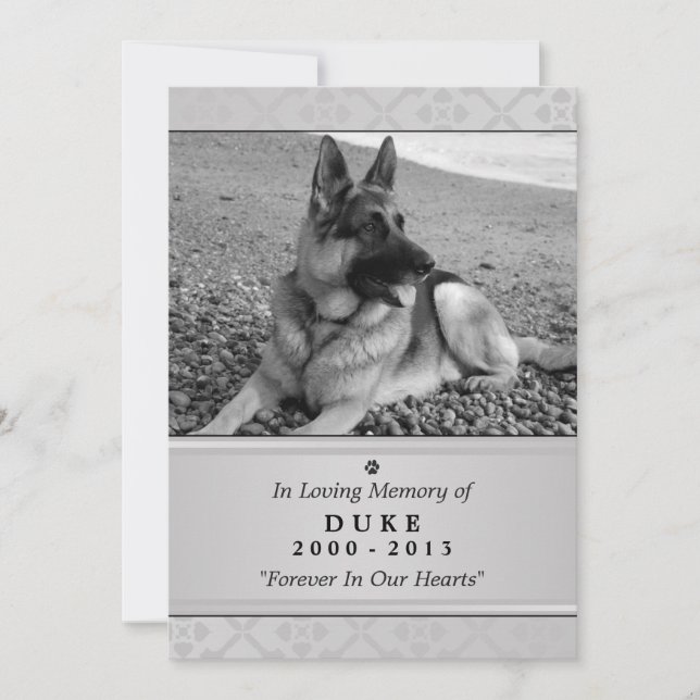 Pet Memorial Card 5"x7" Grey Modern - Male Pet (Front)