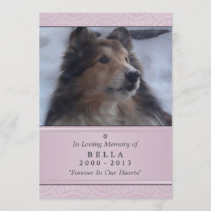 Pet Memorial Card 5"x7" Pink Modern - Female Pet
