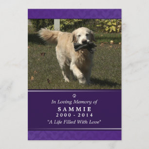 Pet Memorial Card 5"x7" Purple Photo - Male Pet