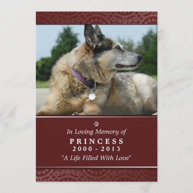 Pet Memorial Card 5"x7" Rainbow Bridge (Female) (Front)