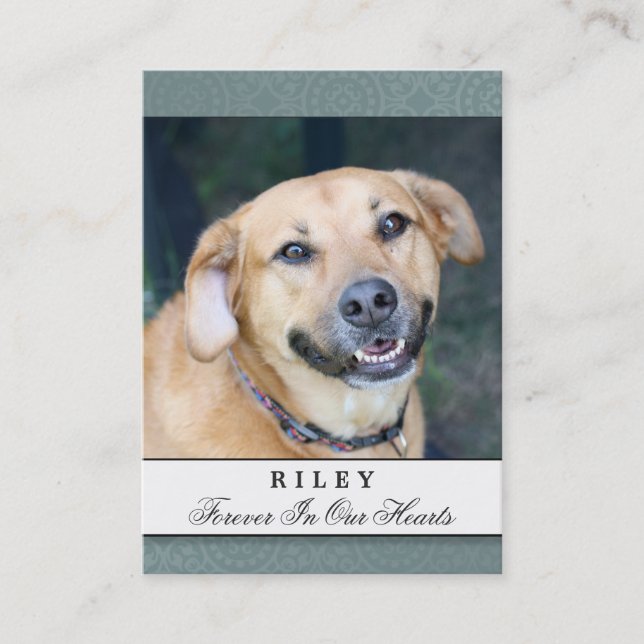 Pet Memorial Card Teal - Contented Poem (Front)