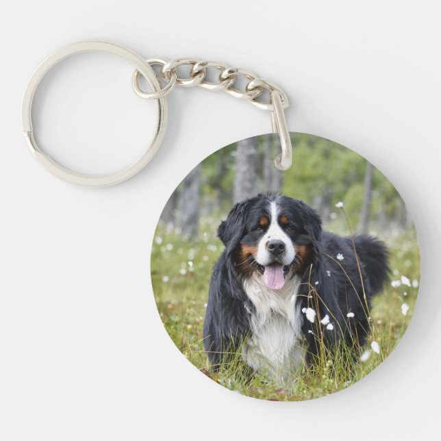 Pet Memorial Custom Dog Photo Rainbow Pet Loss Key Ring (Front)
