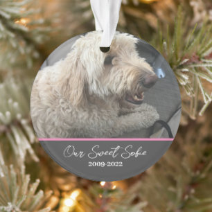 Pet Memorial Customisable Pet Ornament