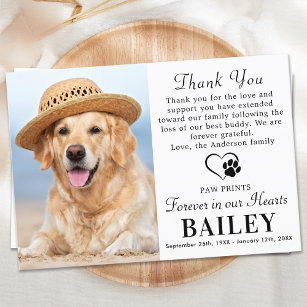Pet Memorial Dog Loss Modern Photo Sympathy Thank You Card