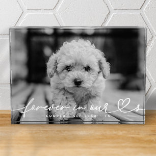Pet Memorial Forever Hearts Simple Modern Photo Block
