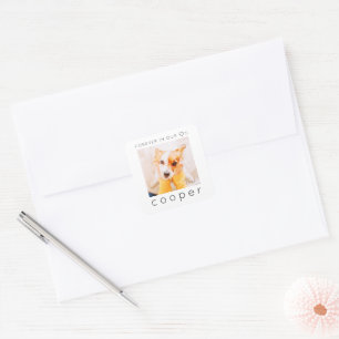 Pet Memorial Forever in our Hearts Simple Photo Square Sticker