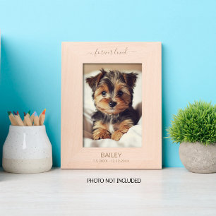 Pet Memorial Forever Loved Etched Frames