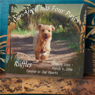 Pet Memorial Four Paws Sunset 2009 Plaque