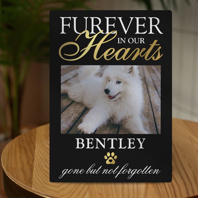 Pet Memorial | Furever in our Heart Photo Plaque (Creator Uploaded)