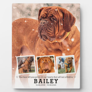 Pet Memorial Gift - Dog Cat Loss 4 Photo Collage  Plaque