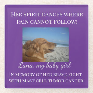 Pet Memorial - Her Spirit Dances Tribute Glass Coaster