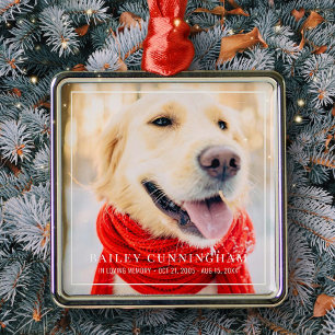 Pet Memorial In Loving Memory Framed Photo Metal Ornament