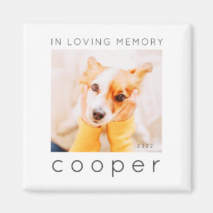 Pet Memorial In Loving Memory Modern Chic Photo Magnet