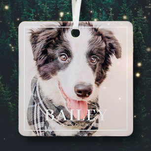 Pet Memorial Keepsake Forever In Our Hearts Photo Metal Tree Decoration